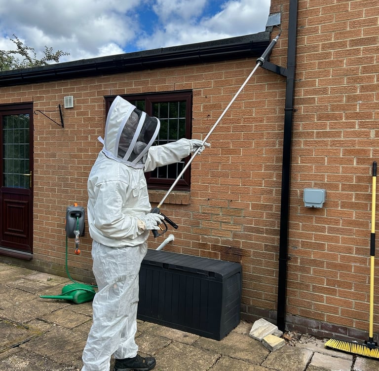 Professional wasp nest treatment on a brick house roofline.