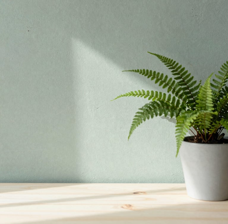 Close-up of a minimalist sage green concrete wall with a single potted fern, soft morning light casting delicate shadows across a light wood table.