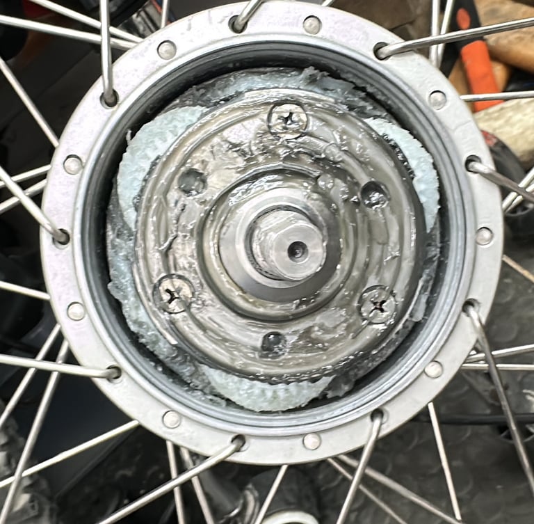 Close-up of a bicycle wheel hub with fresh grease applied to the internal gears for maintenance.
