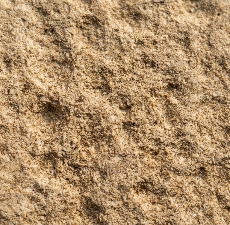 Extreme close-up macro shot of cold-pressed porcelain tile texture, natural side-light highlighting the tactile grain, warm sand tones, 35mm lens