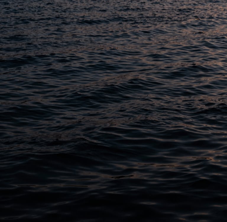 Moody low-key photography of dark water ripples, soft midnight blue tones, dramatic chiaroscuro, 35mm film, portrait aspect