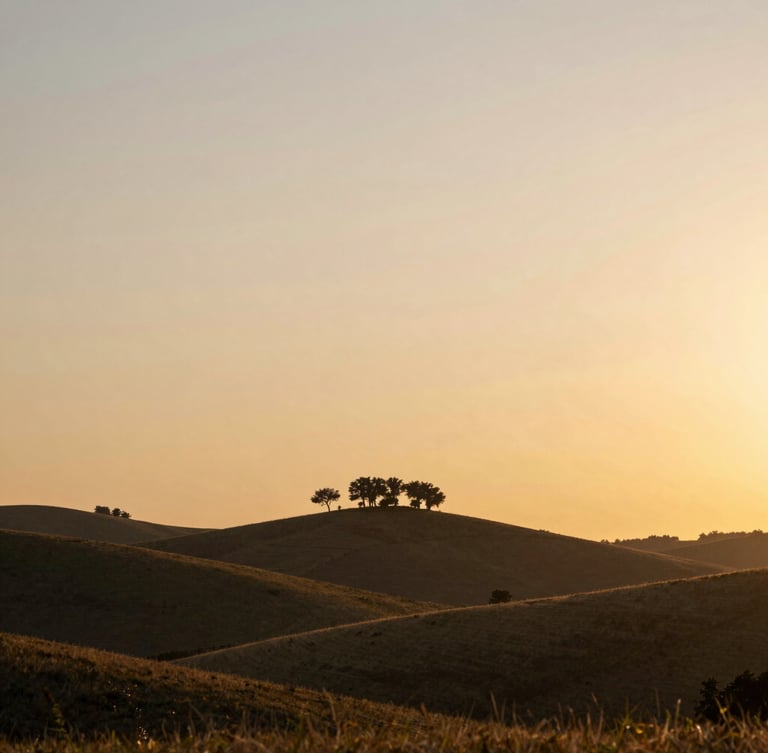 Wide environmental landscape of rolling hills at golden hour, silhouetted trees against a warm sunset sky, soft peaceful atmosphere, shallow depth of field