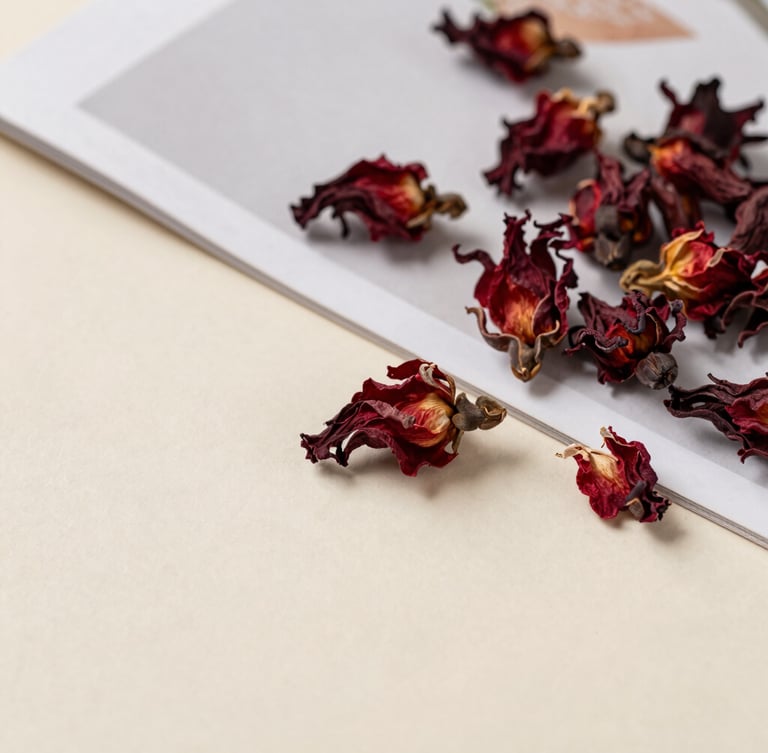 Overhead flat-lay of dried red hibiscus flowers next to a minimalist editorial magazine on an ivory surface, soft natural shadows.