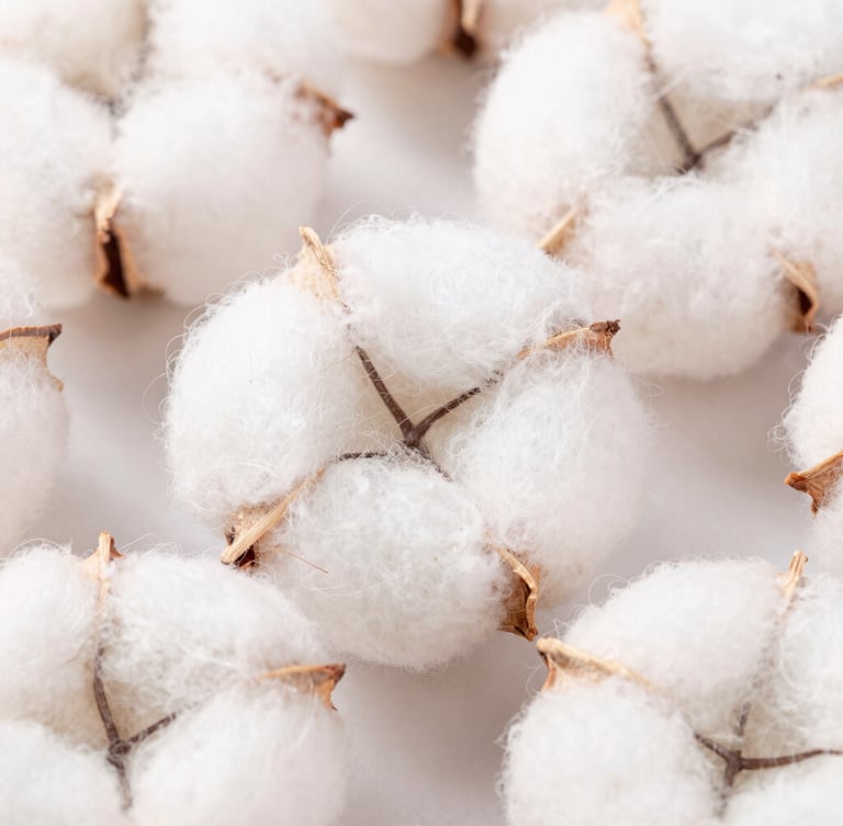 Macro texture shot of woven organic cotton fibers, soft natural daylight, shallow depth of field, clean white and pastel pink tones