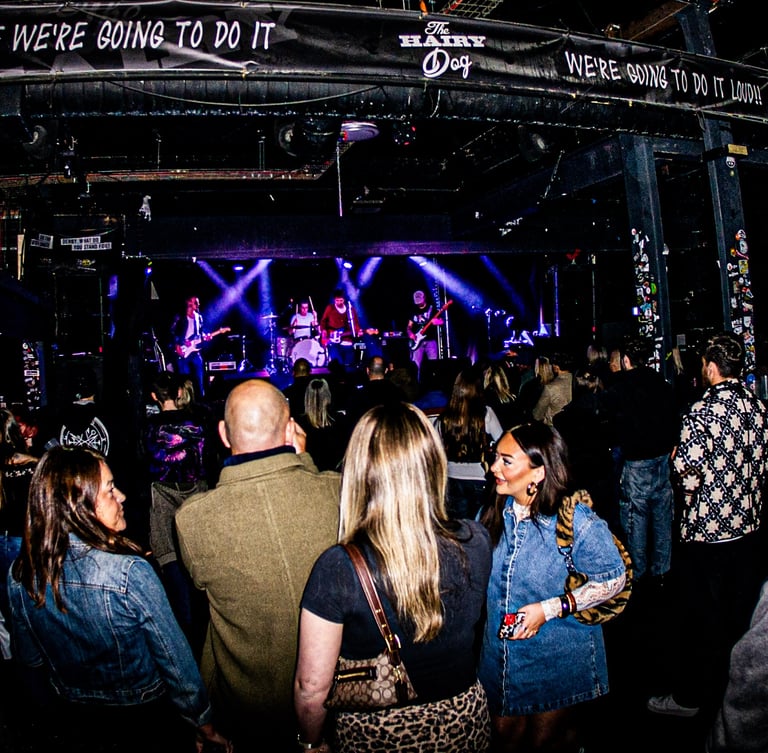 The Hairy Dog venue filled with fans at a high-energy indie music event