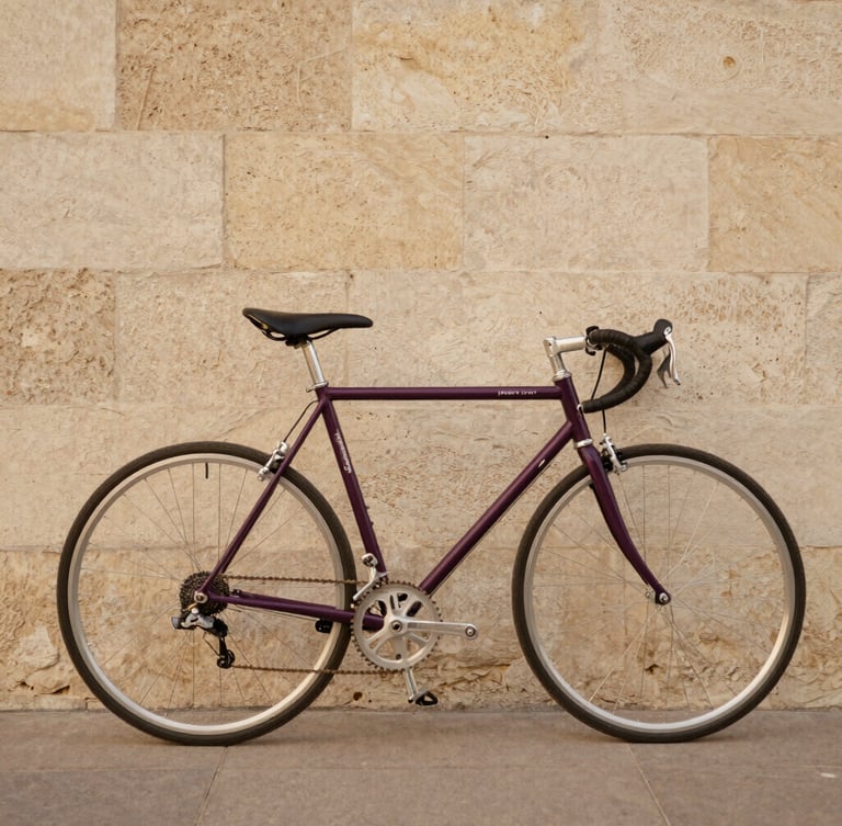 A beautifully restored vintage road bicycle standing against a textured Bordeaux stone wall, soft warm afternoon light, 35mm