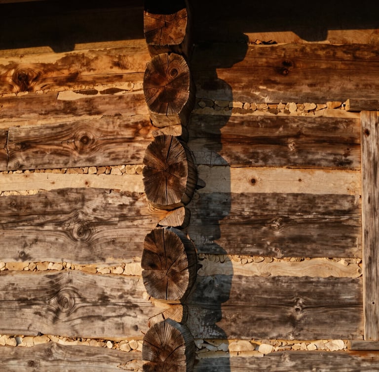 Tactile close-up of weathered 1800s log cabin exterior wall, showing broadaxe marks and historic chinking, warm natural wood textures