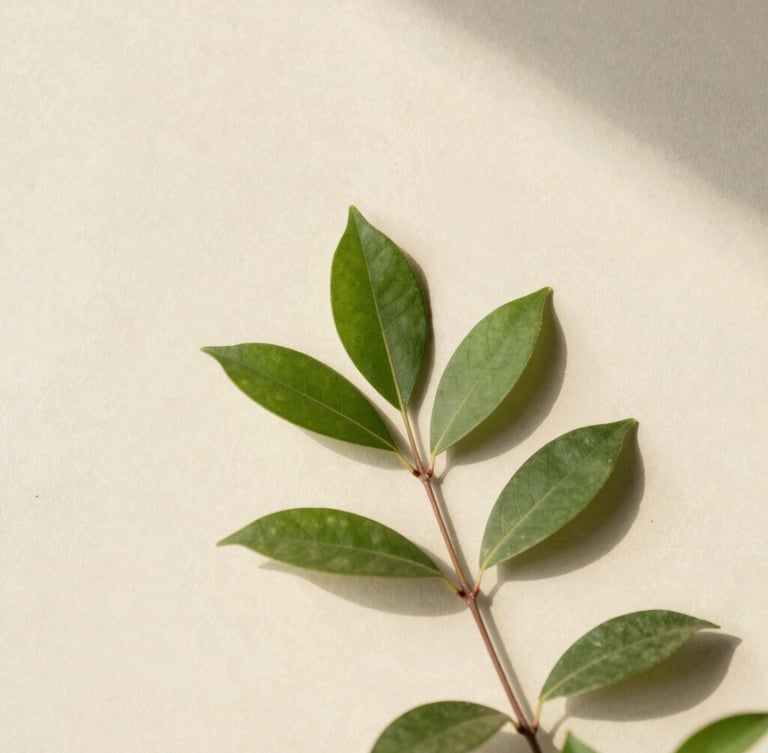 Minimalist macro shot of soft morning sunlight casting shadows of green leaves on a warm cream concrete wall, clean editorial aesthetic, low contrast
