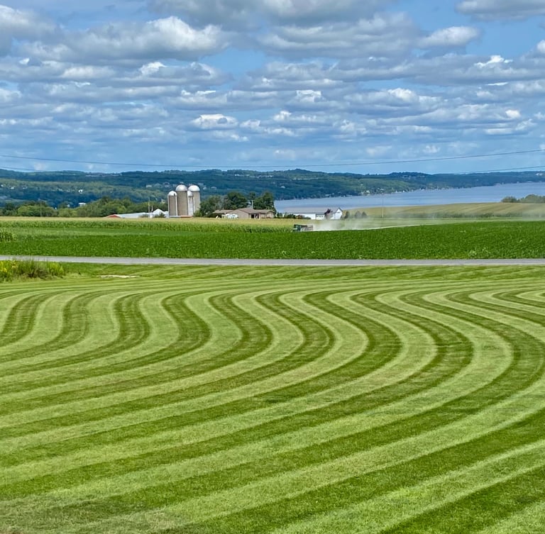 Professional lawn care services in Canandaigua, NY, featuring precision-striped grass.