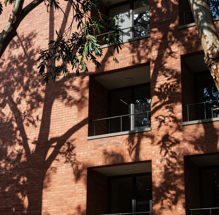 Modern Brisbane architectural brickwork, sharp geometric lines, dappled light filtering through eucalyptus leaves.