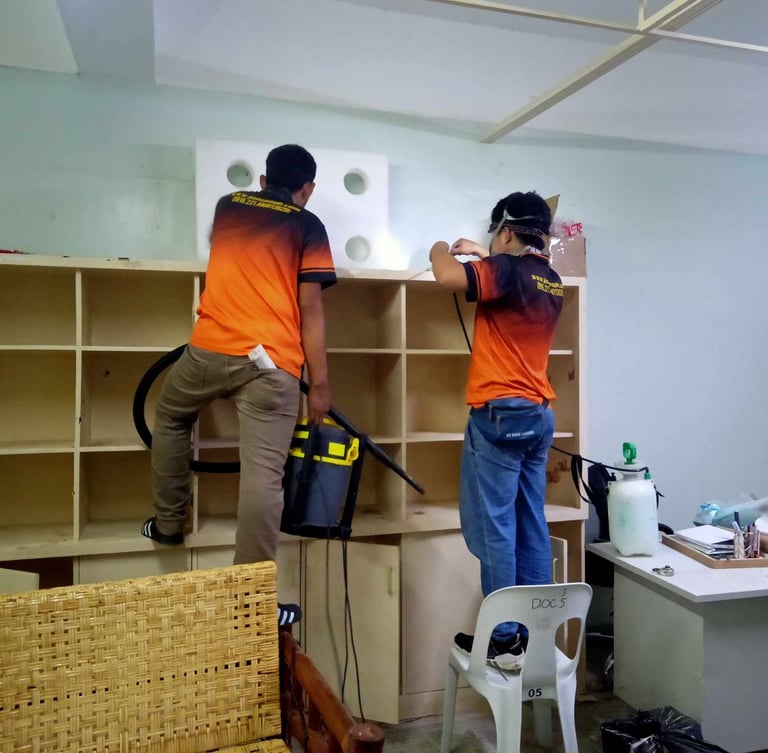 Professional pest control service technicians inspecting office shelving for termite infestation.