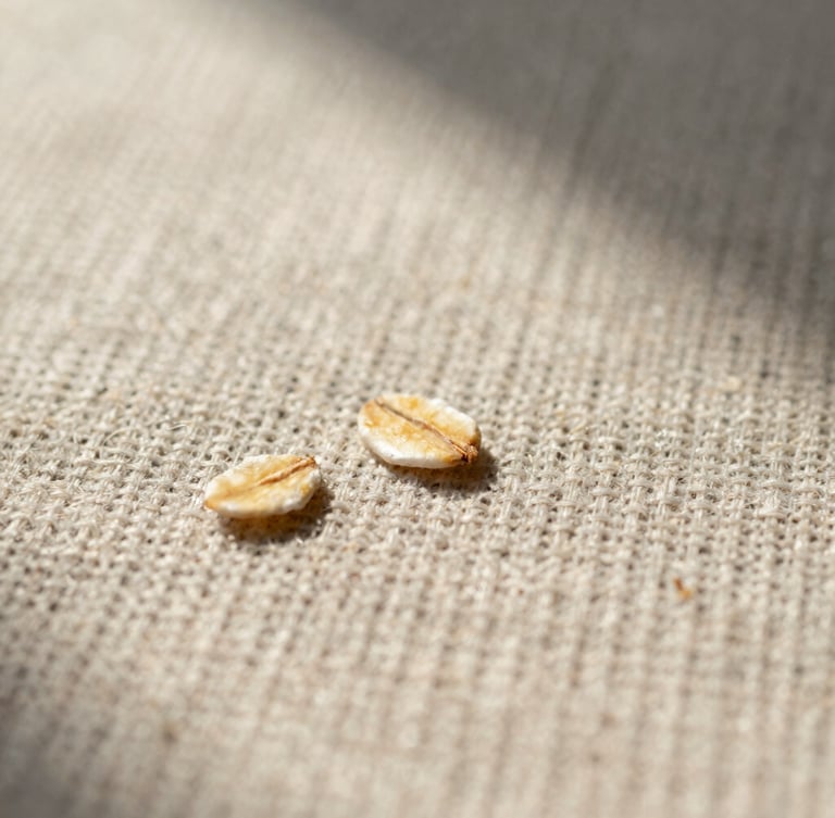 Macro close-up of raw oatmeal-colored Belgian linen weave, showing high-density fiber slubs and thick structural threads under low raking afternoon sunlight, 35mm.