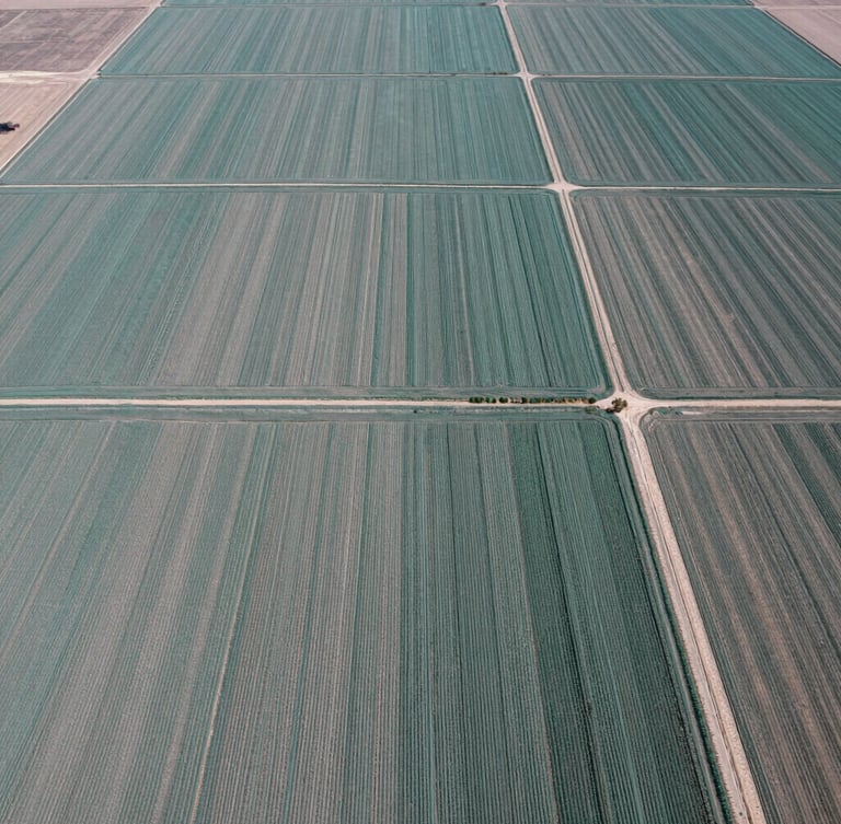 Top-down aerial perspective of organized agricultural fields in Nineveh plains, sharp technical daylight photography, teal accents.
