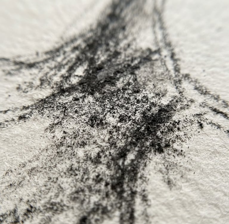 Macro shot of charcoal sketching on high-texture cold-press paper, sharp focus on the carbon particles, bright natural daylight, minimalist gallery aesthetic, 35mm
