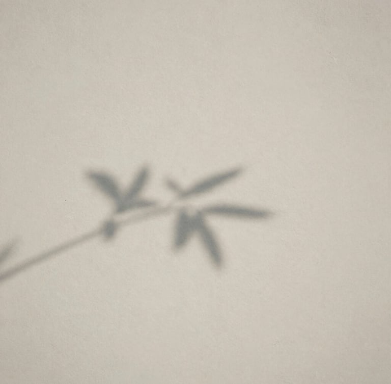Soft shadow of a branch cast on a clean, textured off-white wall, quiet minimalist fine art photography, diffused afternoon light