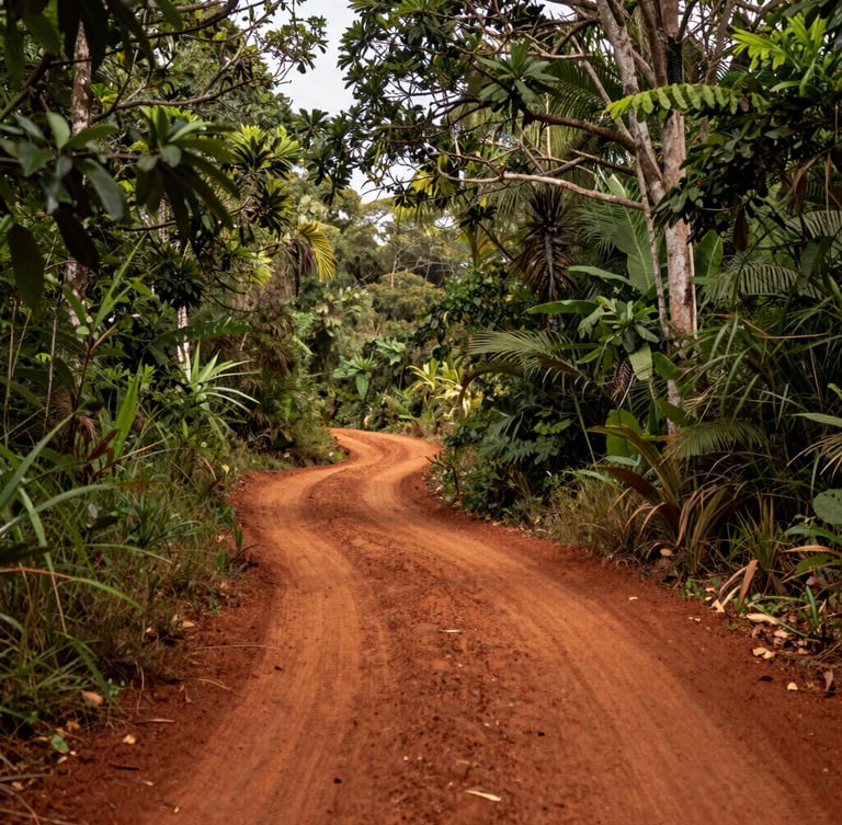 Wide-angle landscape of red earth paths winding through lush green Misiones forest, warm daylight filtering through dense leaves, organic texture.