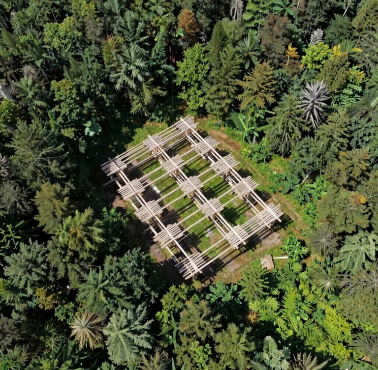 Overhead high-altitude drone orthomosaic mapping view of a structured timber plantation, crisp daylight, deep forest greens, technical grid lines faintly visible.