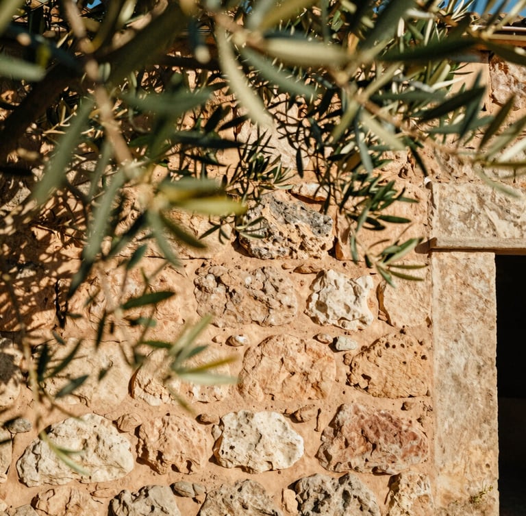 Warm editorial close-up of sun-dappled ancient stone walls of the finca, olive branches gently framing the shot, soft focus, 35mm film style