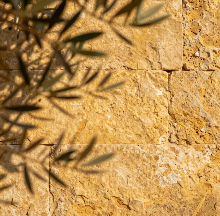 Close-up of ancient golden stone wall in Provence with soft shadows of olive leaves, warm morning light, minimalist composition.