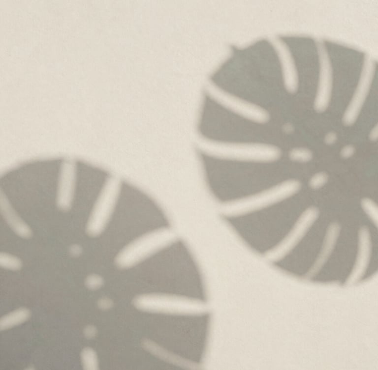 Sombras suaves de folhas de uma planta tropical em uma parede texturizada off-white, criando um padrão orgânico e tranquilo, com luz natural difusa e tons de verde-sálvia.