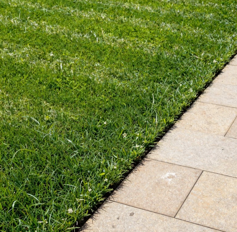 Close-up portrait-oriented editorial shot of a crisp, striped green lawn next to a clean stone walkway, bright morning daylight, rich forest green tones, sharp focus, 35mm