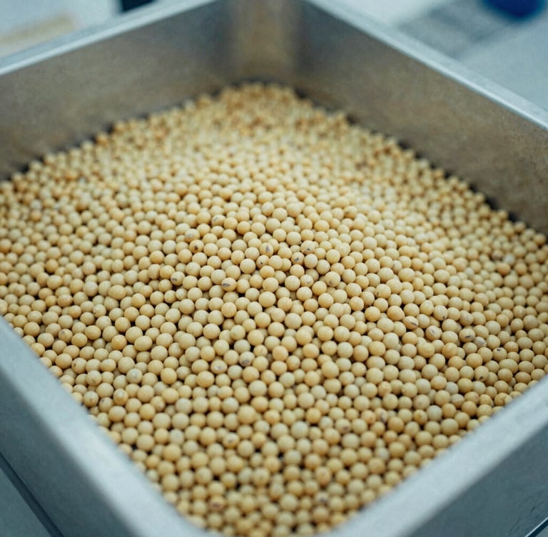 Close-up of raw golden soybean meal sample held in industrial testing container, cool overcast light, desaturated tones, 35mm film