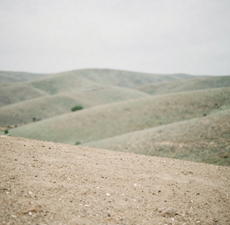 Calm, soft-focus landscape of the Córdoba hills in Villa General Belgrano, diffused overcast daylight, muted sage green and warm sand tones, 35mm photography