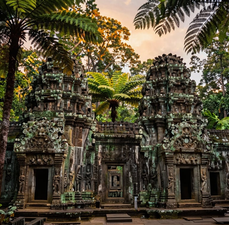 Wide panoramic shot of ancient Sri Lankan stone carvings integrated into a lush Queensland rainforest canopy, golden twilight light filtering through ferns.
