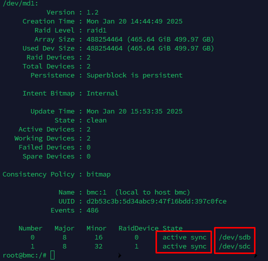 raid status output