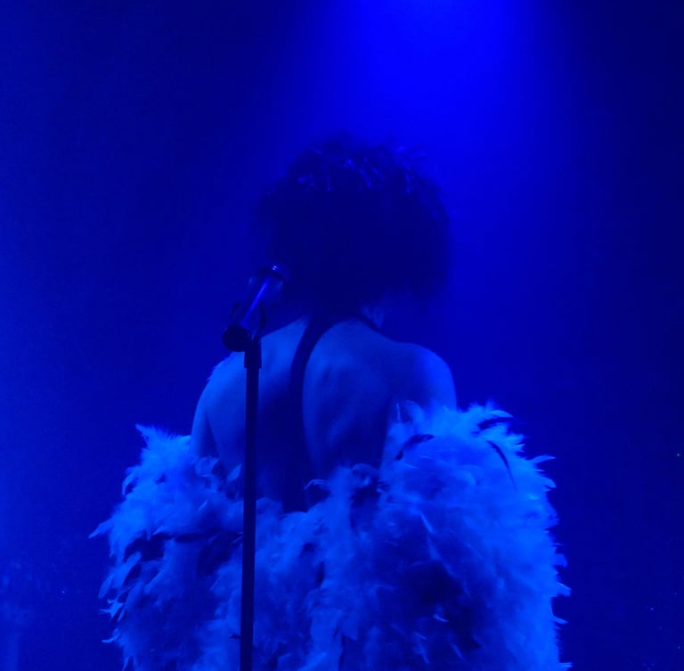 SPECTACLE - SISSI VON VART - Compagnie Mathilde - D Muse - Photo DR cie -4- ARTEPHILE AVIGNON OFF 2026
