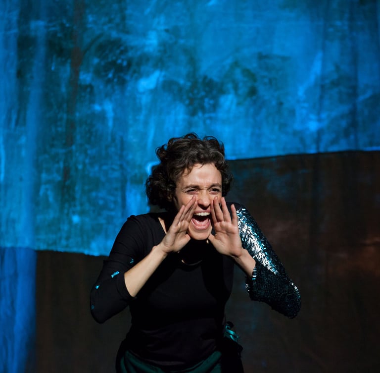 Spectacle Les souliés mouillés - Credit photo Philippe Durand - La Farouche Cie Sabrina Chézeau - Artéphile journées pros 26