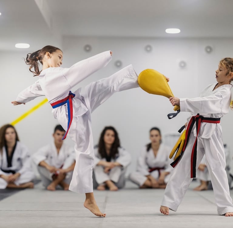 2 girls doing taekwondo on kick paddles with teenagers in background