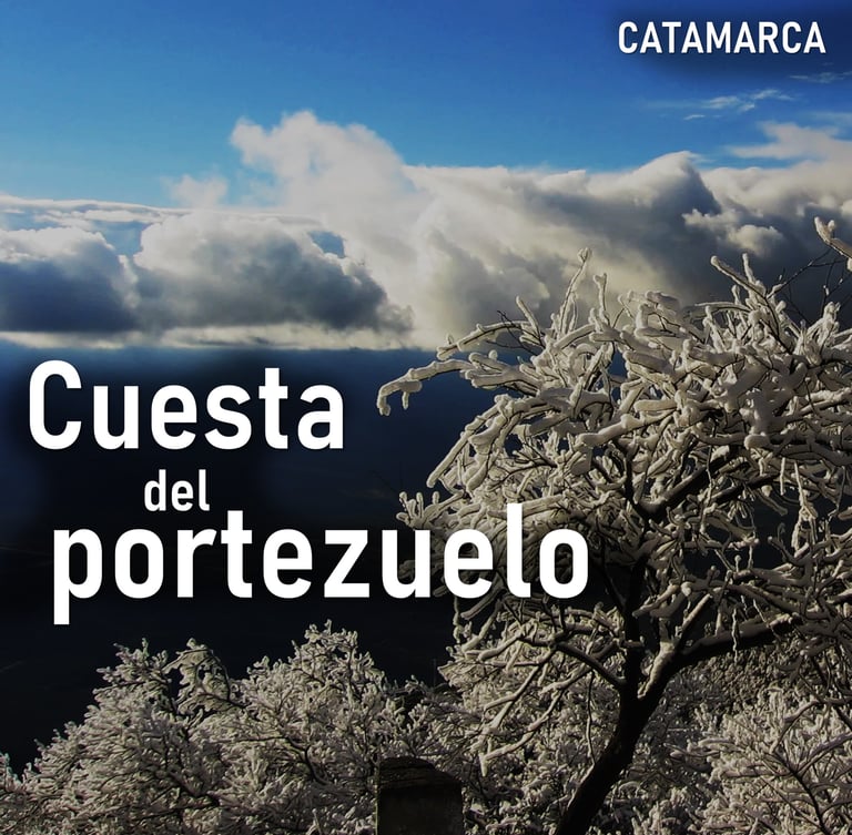 a tree with snow covered branches and clouds