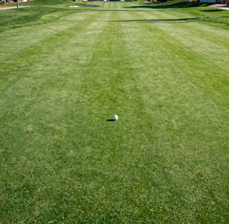 Wide environmental shot of a beautifully manicured putting green in Herriman, Utah, crisp morning daylight, long shadows, 35mm