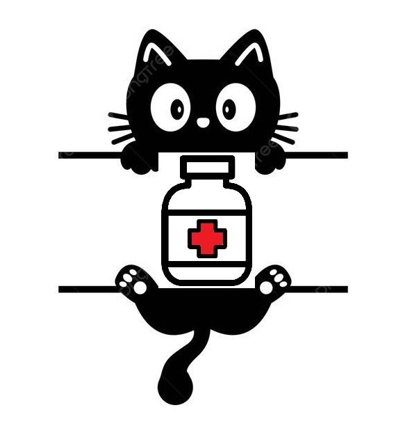 supporto terapie gatto, medicine gatto