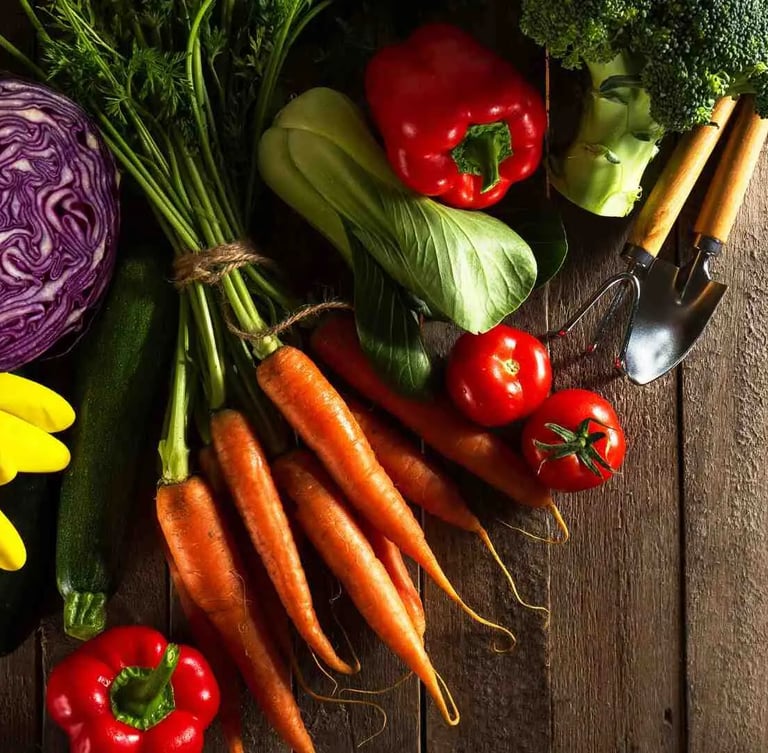 Cosecha de verduras frescas e hortalizas del huerto sobre fondo de madera