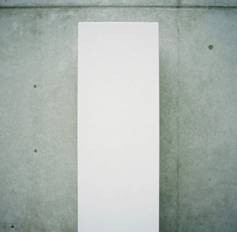 A tall, monolithic white rectangular planter showcasing its flawless matte texture against a raw concrete wall, soft overcast daylight, architectural 35mm photography