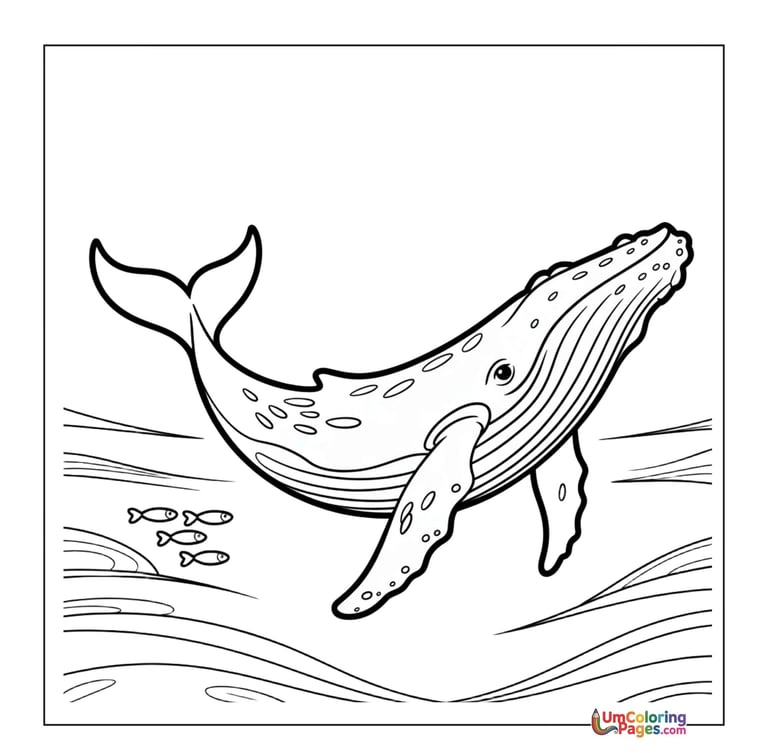 whale coloring page for kids