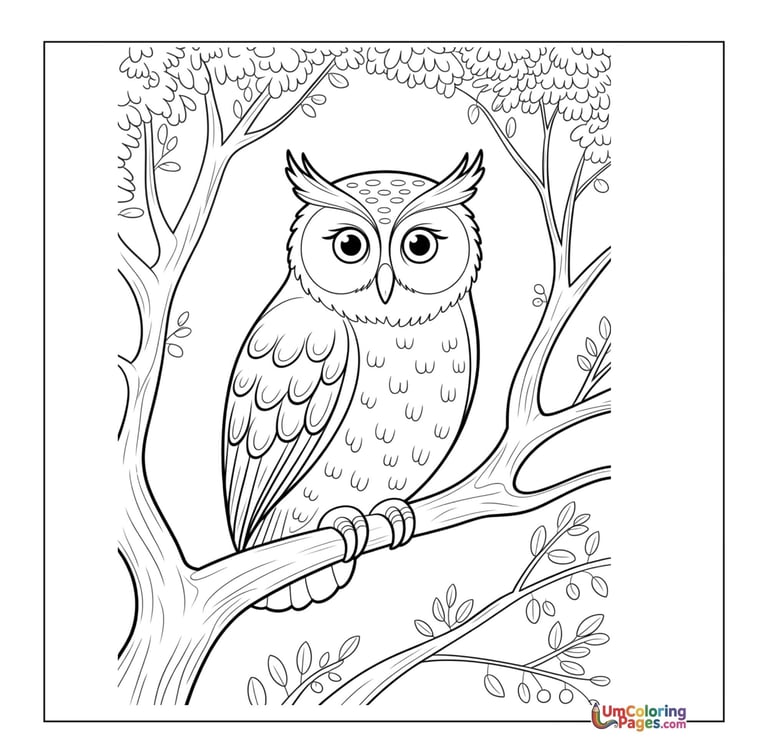 owl coloring page for kids