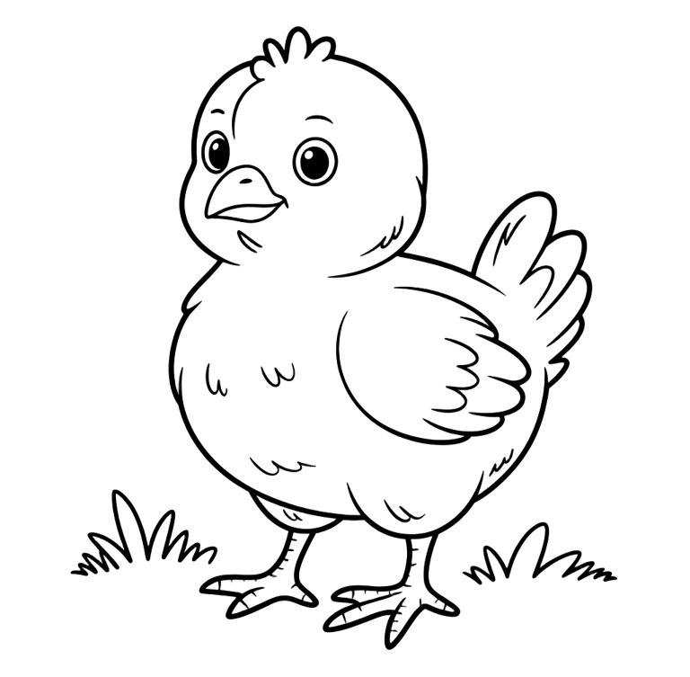 chicken coloring page for kids