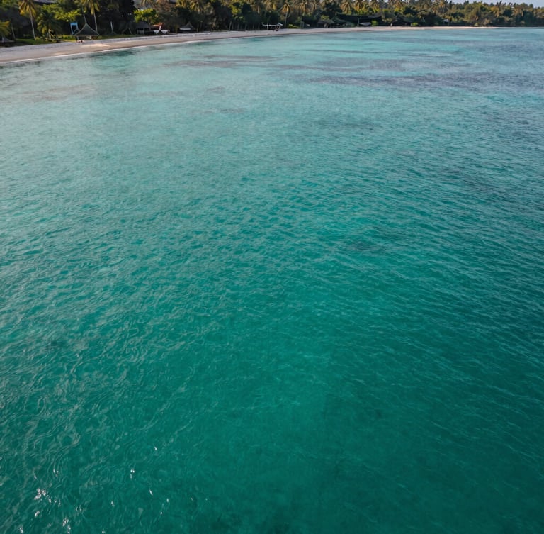Aerial view of pristine turquoise ocean water in Lombok, soft morning light, deep green tropical coastline visible on the far edge, minimalist and serene composition.