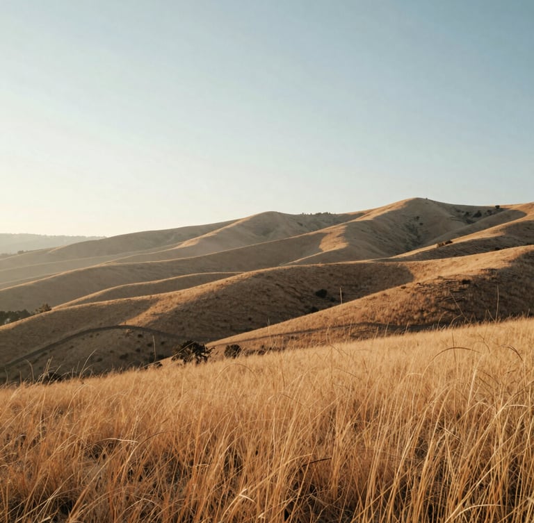 Soft diffused morning light over the Boise foothills, dry golden grasses, wide negative space on the left, serene atmospheric composition