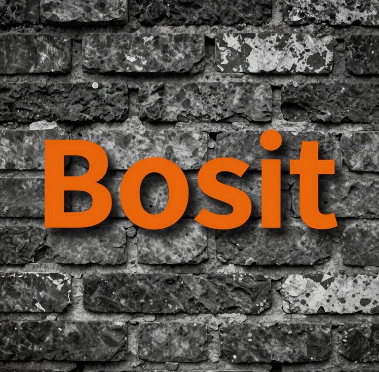 A full-bleed close-up of a textured black-and-white wild posting on a gritty brick wall, safety orange typography slicing through the center.