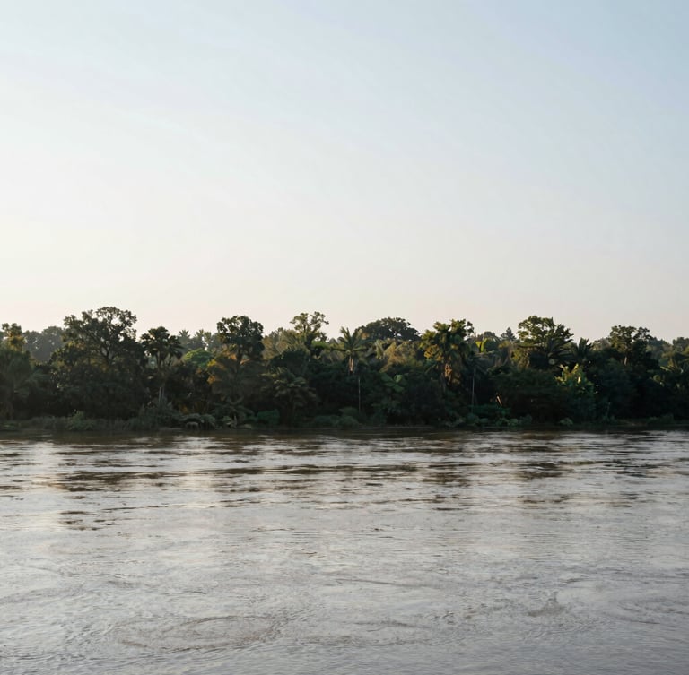 Wide environmental landscape of the Savannah River in Augusta at quiet daylight, soft overcast morning sun, clean composition with generous breathing room, 35mm editorial photography.
