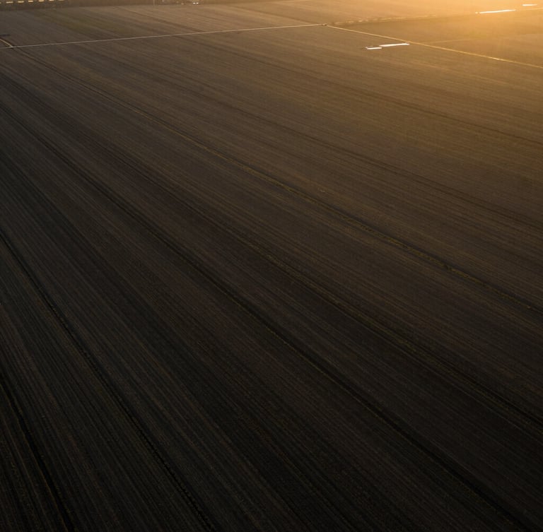 High-altitude view of vast organized agricultural fields, dramatic golden hour light, high contrast, cinematic editorial photography.