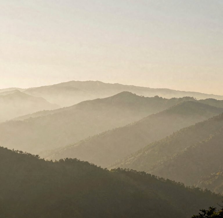 Wide environmental shot of misty mountain ranges in morning light, deep perspective, serene and silent atmosphere, 35mm film photography style.