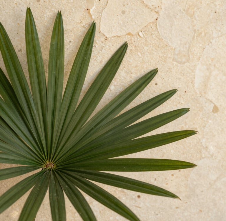 Macro photograph of deep green architectural palm leaves showing rich natural texture, soft diffused warm sunlight, travertine background, high-end biophilic aesthetic.