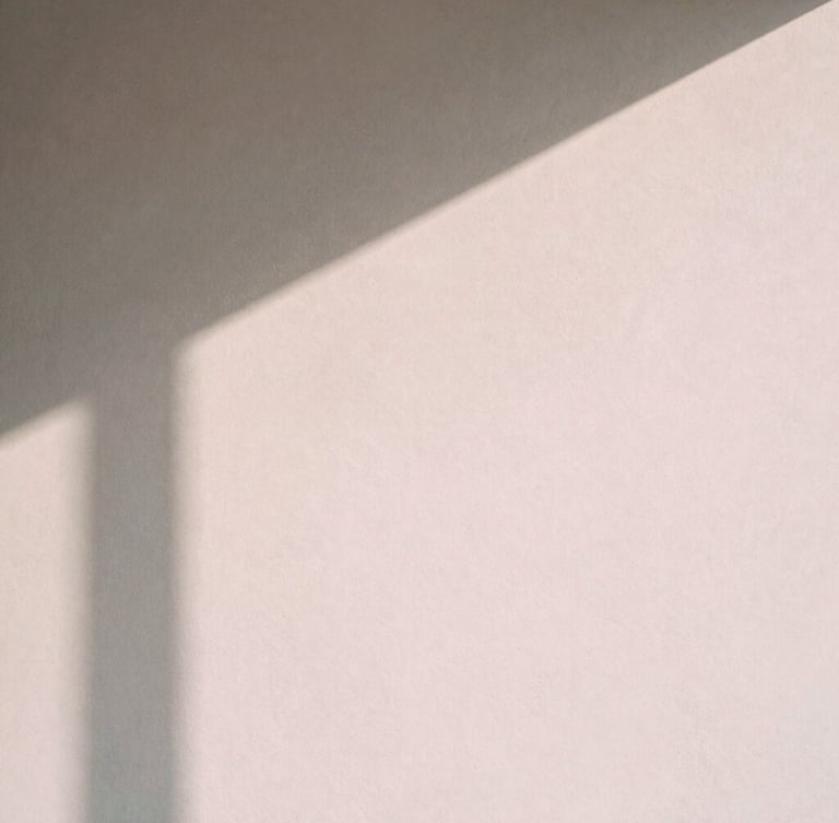 Abstract shadows on a clean plaster wall, soft natural north-facing daylight, minimalist and architectural, editorial feel, 35mm