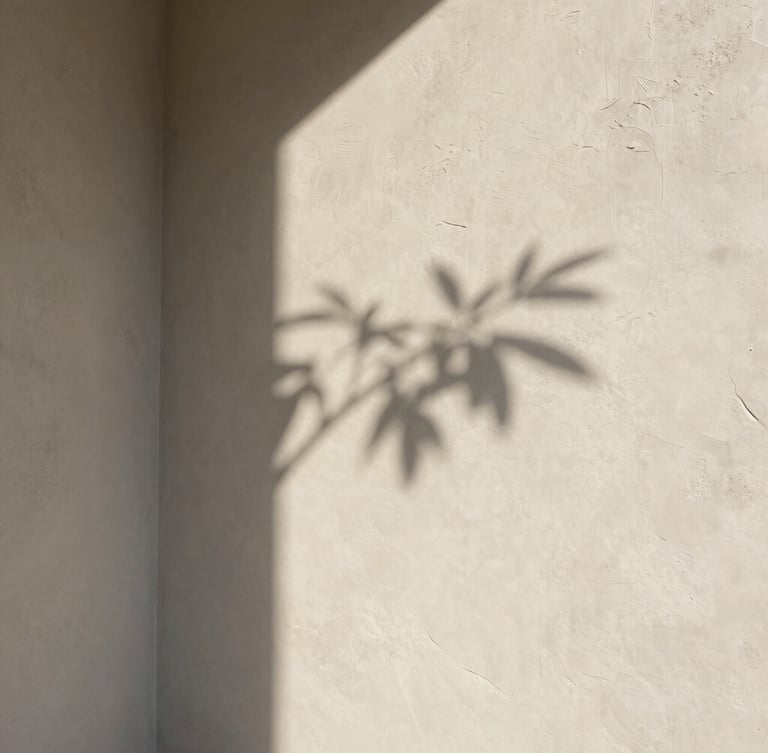 Soft diffused natural light falling on a raked plaster wall, a single delicate shadow of a botanical branch, minimalist architectural corner, quiet luxury.