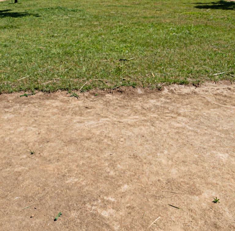 Wide shot of a freshly cleared expansive dirt and grass lot in São Paulo, sharp focus, bright direct sunlight, clean and compliant space, 35mm lens.